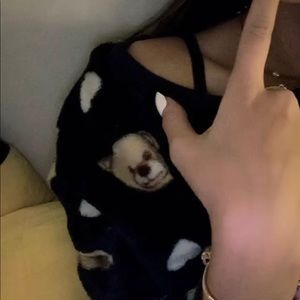 Meet your Posher, Miranda